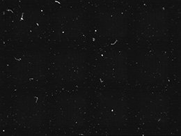 LDR-75BL2-LA1